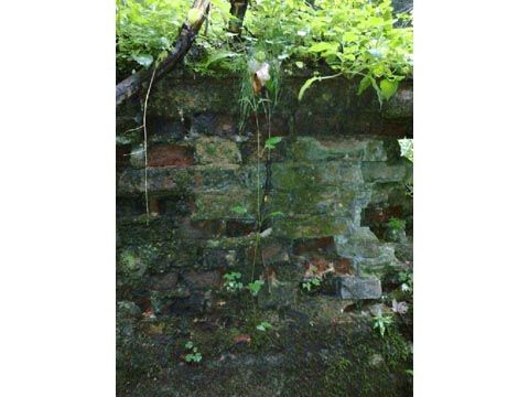 Foto 198